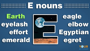 nouns that start with e