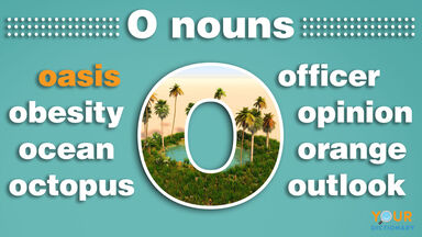 nouns that start with o