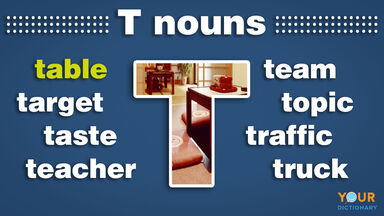nouns that start with t