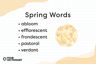 flowers and spring words
