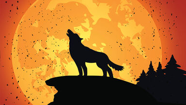 call of the wild wolf howling