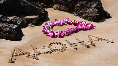 English word with Hawaiian origin aloha
