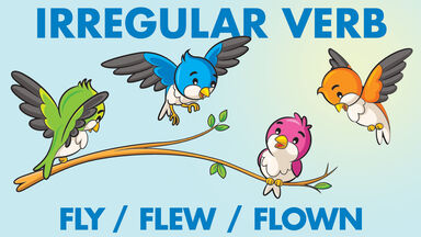 irregular verb example fly flew flown