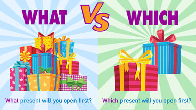 what vs which example