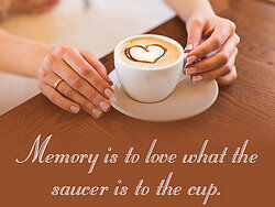 Saucer and cup of coffee as examples of analogy in literature